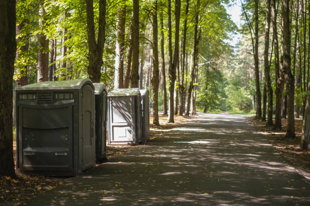 Best Local porta potty services  in Roxborough Park, CO